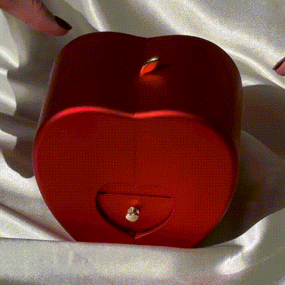 Rosa Eterna & Collar de Amor Infinito