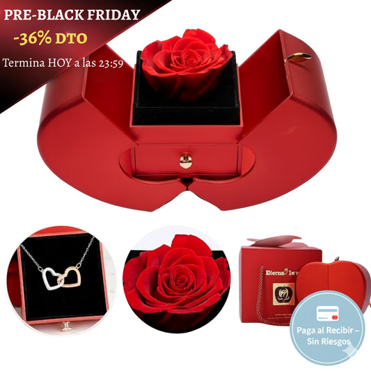 Rosa Eterna & Collar de Amor Infinito